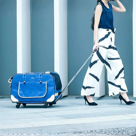 Une femme marche sur le trottoir avec son sac de transport pour chien bleu.