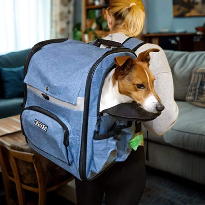 Femme vue de dos avec un sac de transport pour chien, un Jack Russell à l'intérieur dans un salon
