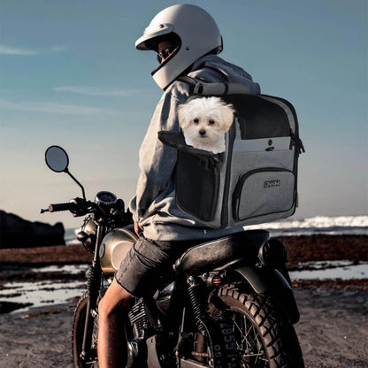 Homme vu de dos sur une moto avec un sac de transport pour chien, un chien blanc à l'intérieur 
