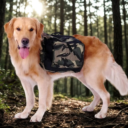 Un golden retriever dans une forêt porte les sacs à dos pour chiens PackDog.