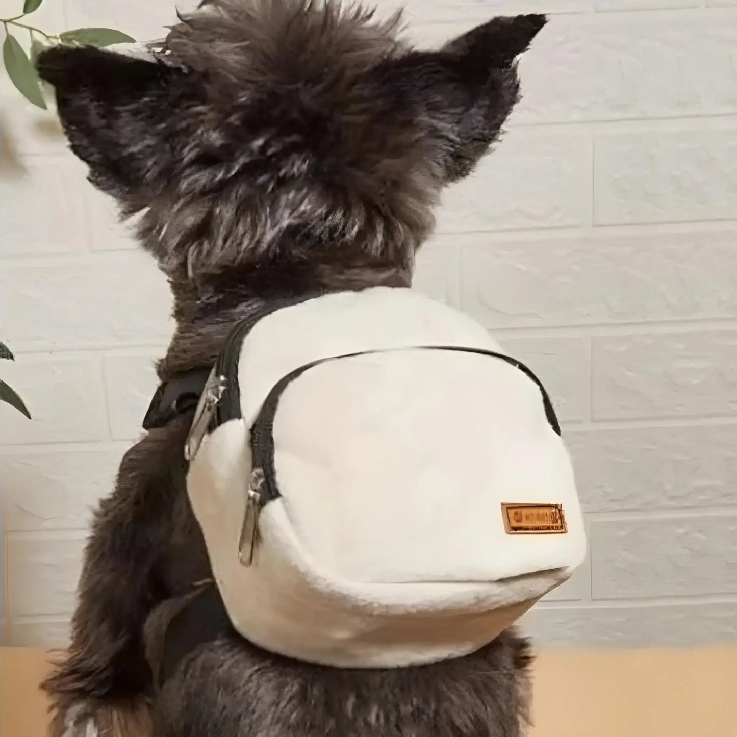 Vue de dos, un Yorkshire porte les sacs à dos pour chiens SacCanin blanc.