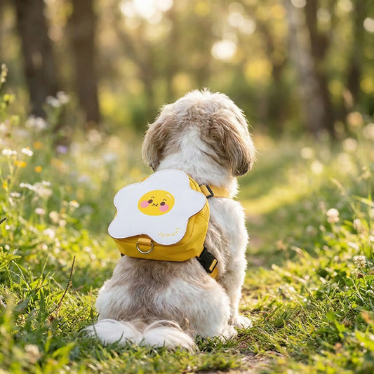 Un Shih Tzu vu de dos porte les sacs à dos pour chiens WoofBag fleur blanche.