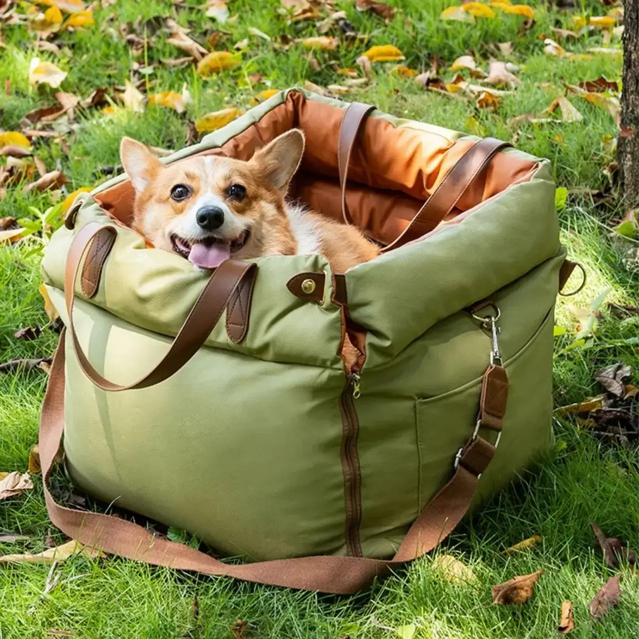 Un corgi allongé dans son siège auto pour chien portatif sur la pelouse.