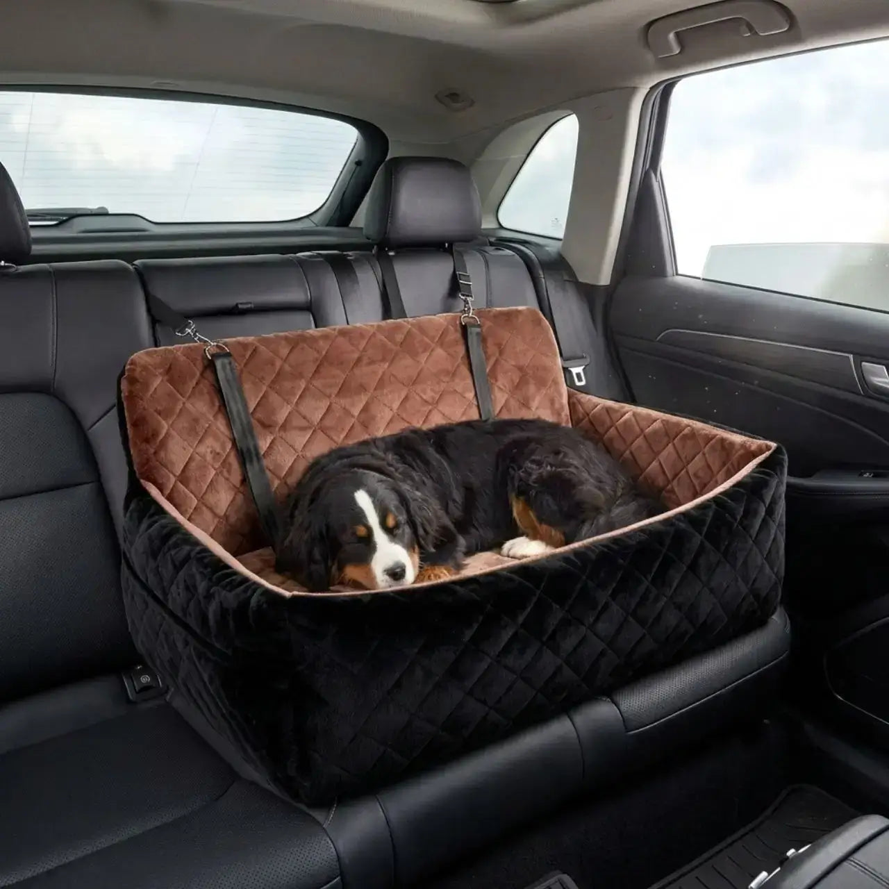 Un bouvier bernois allongé dans le siège d'auto pour chiens.