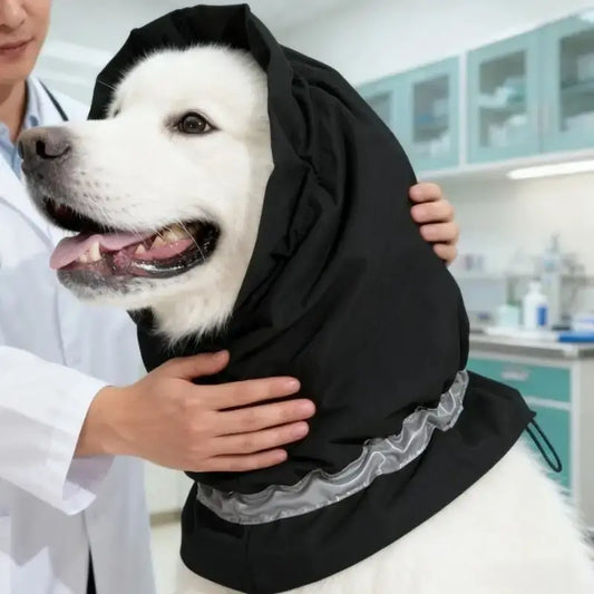 Un husky chez le vétérinaire avec son nood pour chien noir