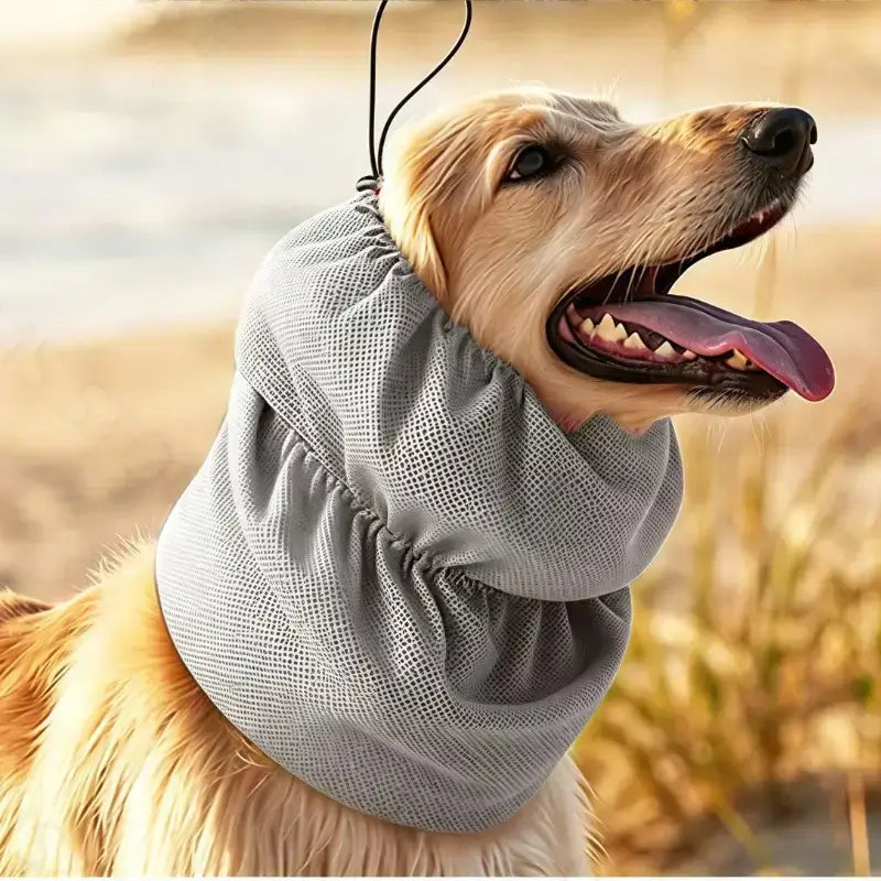 Un lévrier afghan vêtu d'un snood pour chien rafraichissant gris.