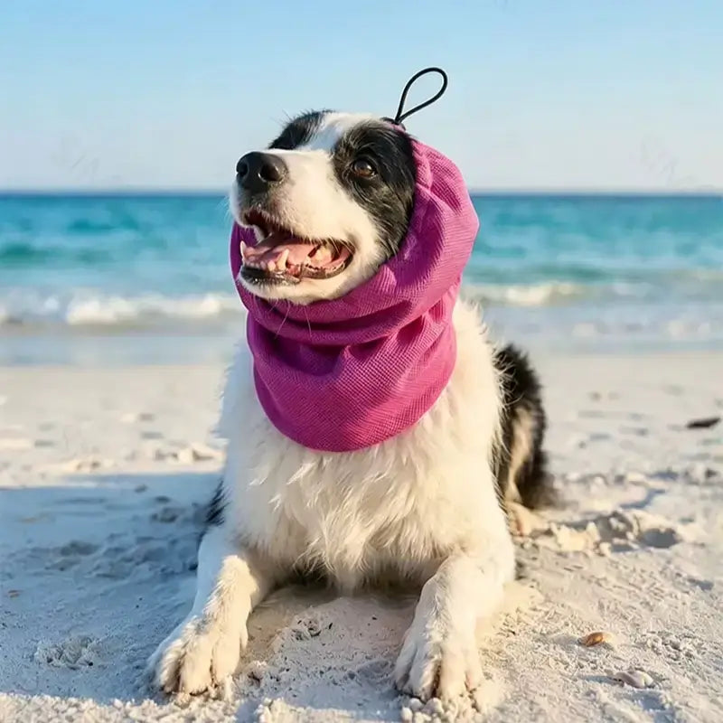 Un border collie allongé sur la plage est vêtu d'un snood pour chien rose.
