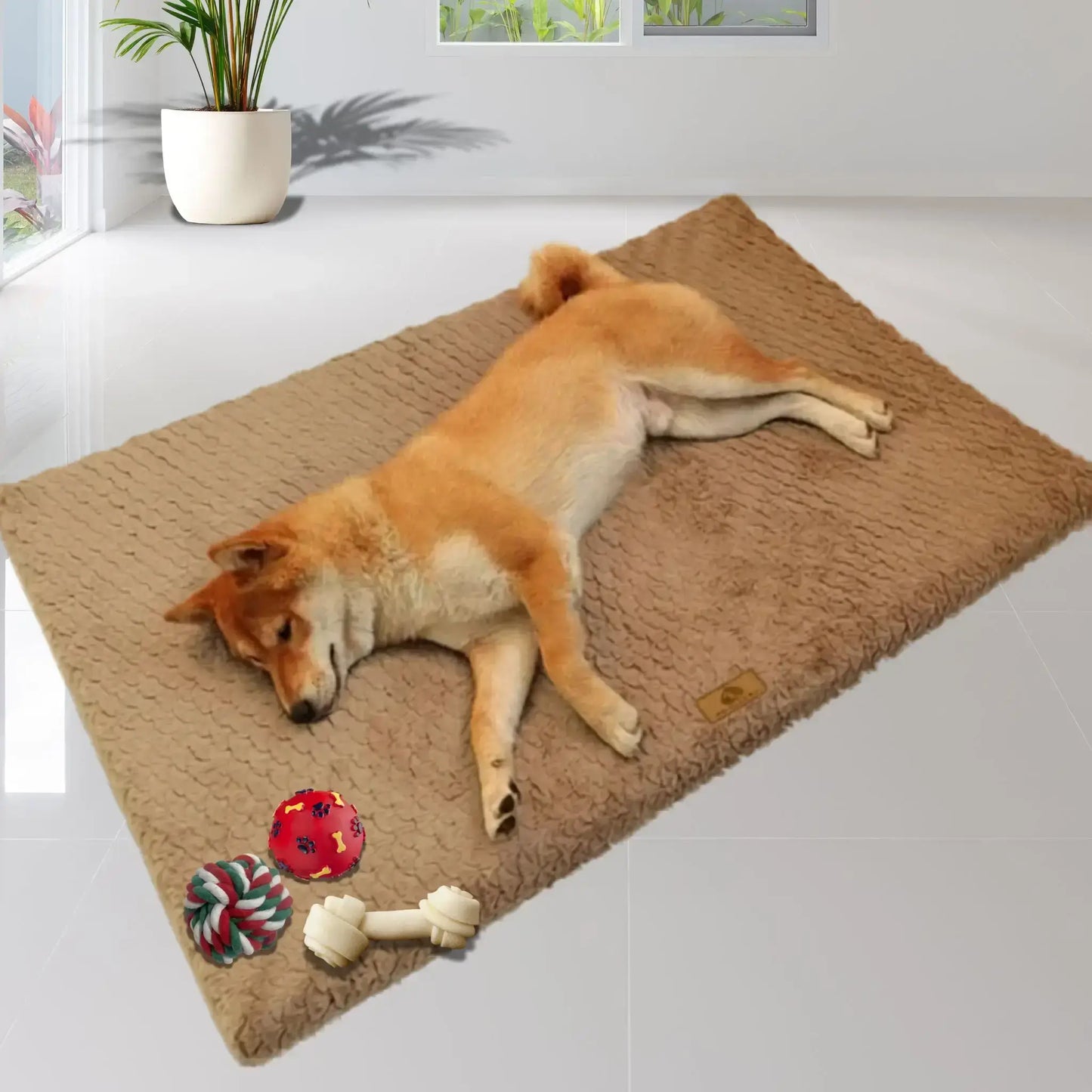 Un shiba inu est allongé au sol sur un tapis pour chien.