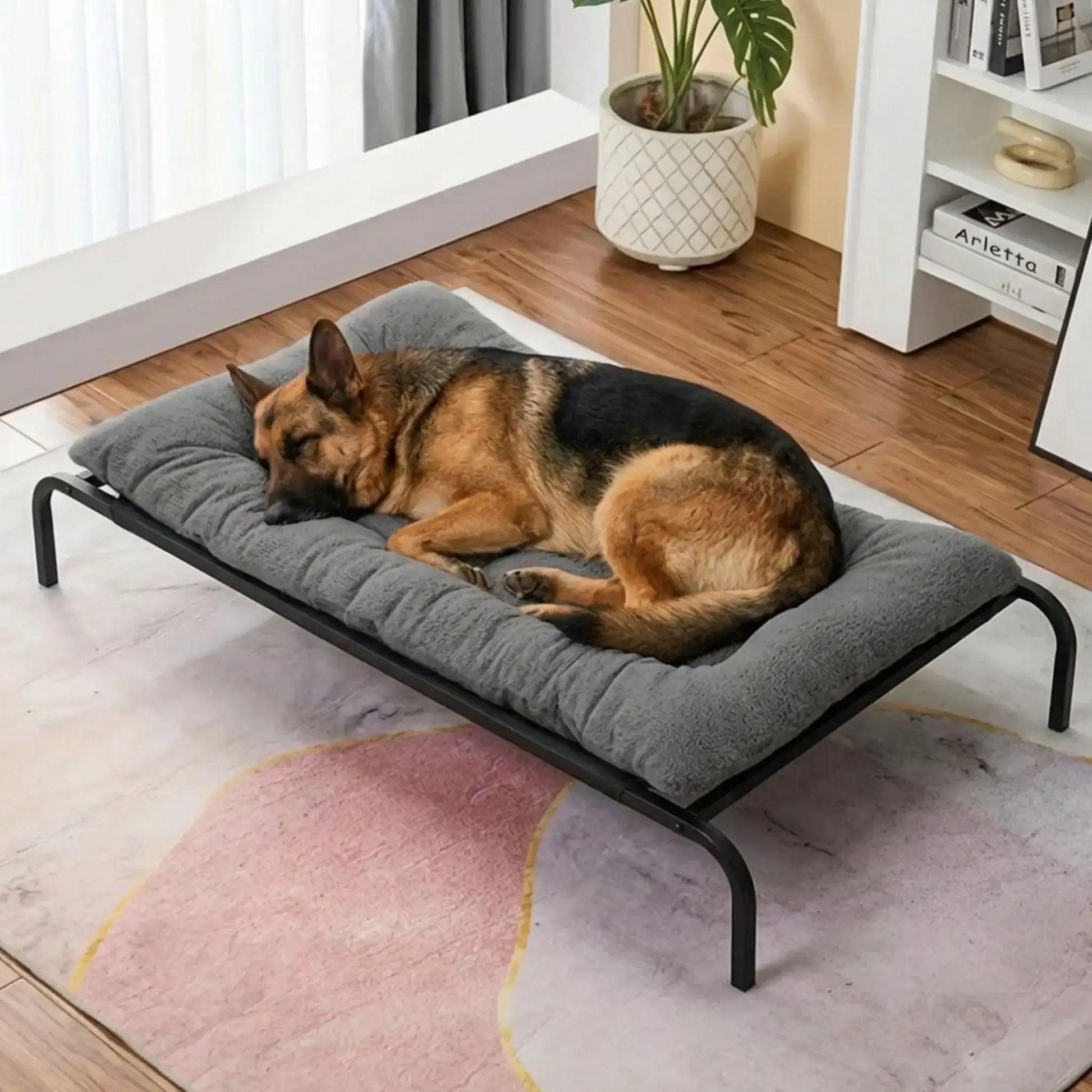 Un berger allemand est allongé sur un tapis pour chien XXL dans un salon sur un lit surélevé.