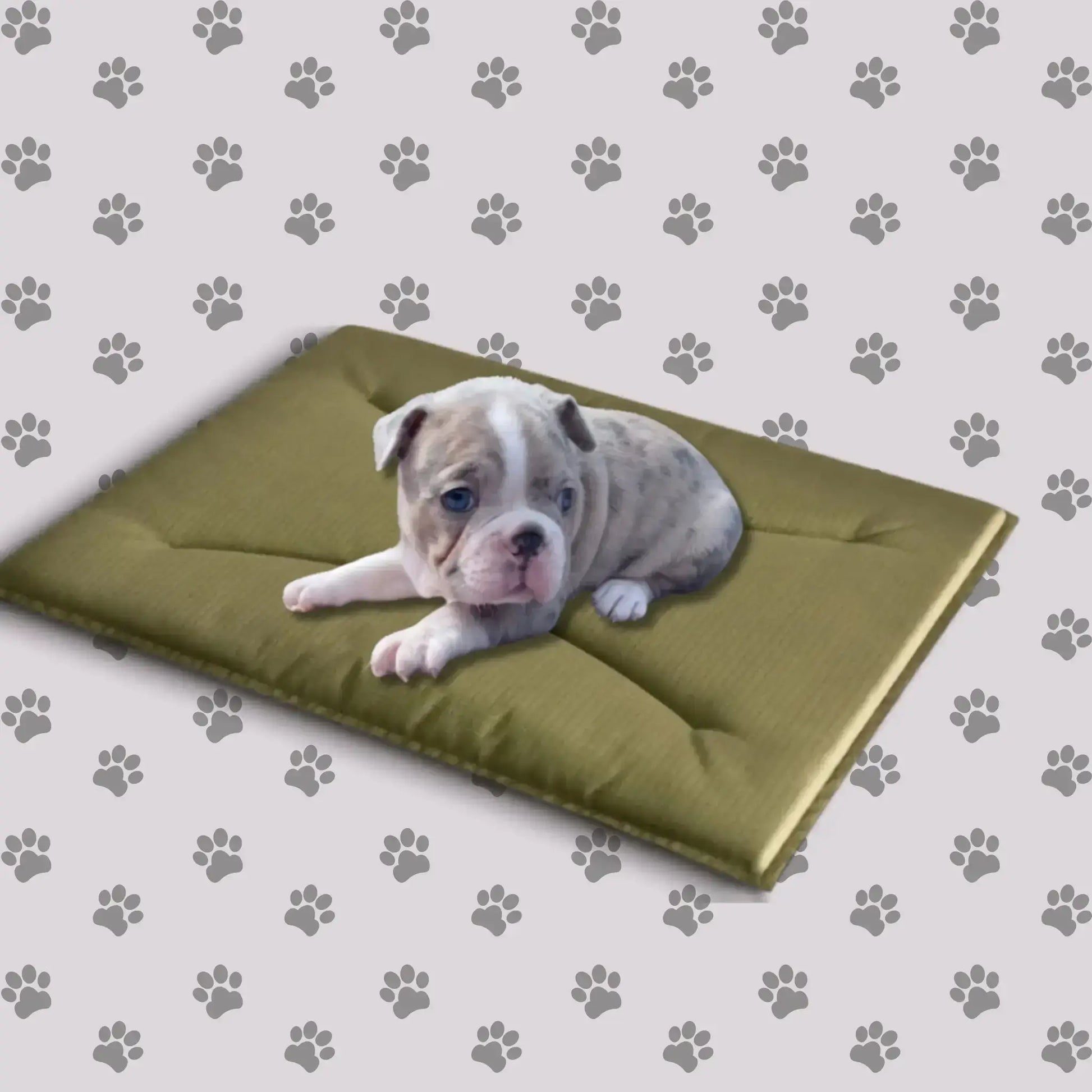 Un chiot boston terrier allongé sur un tapis pour chiot vert.