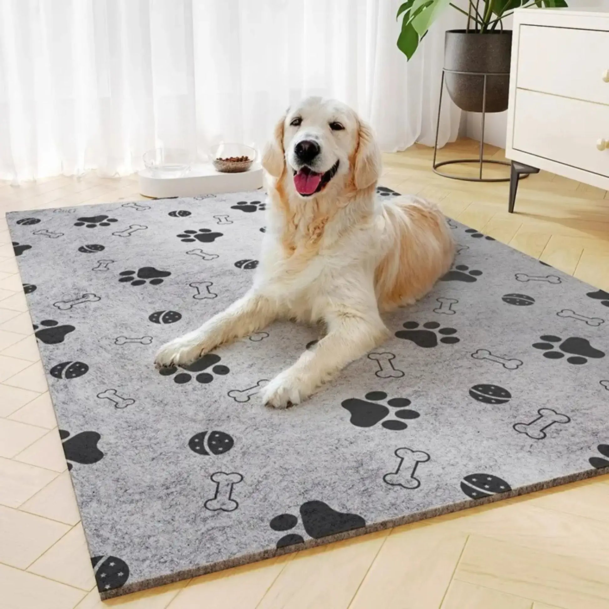 Un golden retriever est allongé sur un tapis pour chien dans le salon.