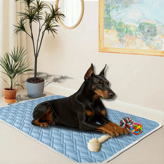 Un doberman allongé sur un tapis pour chien rafraichissant bleu.