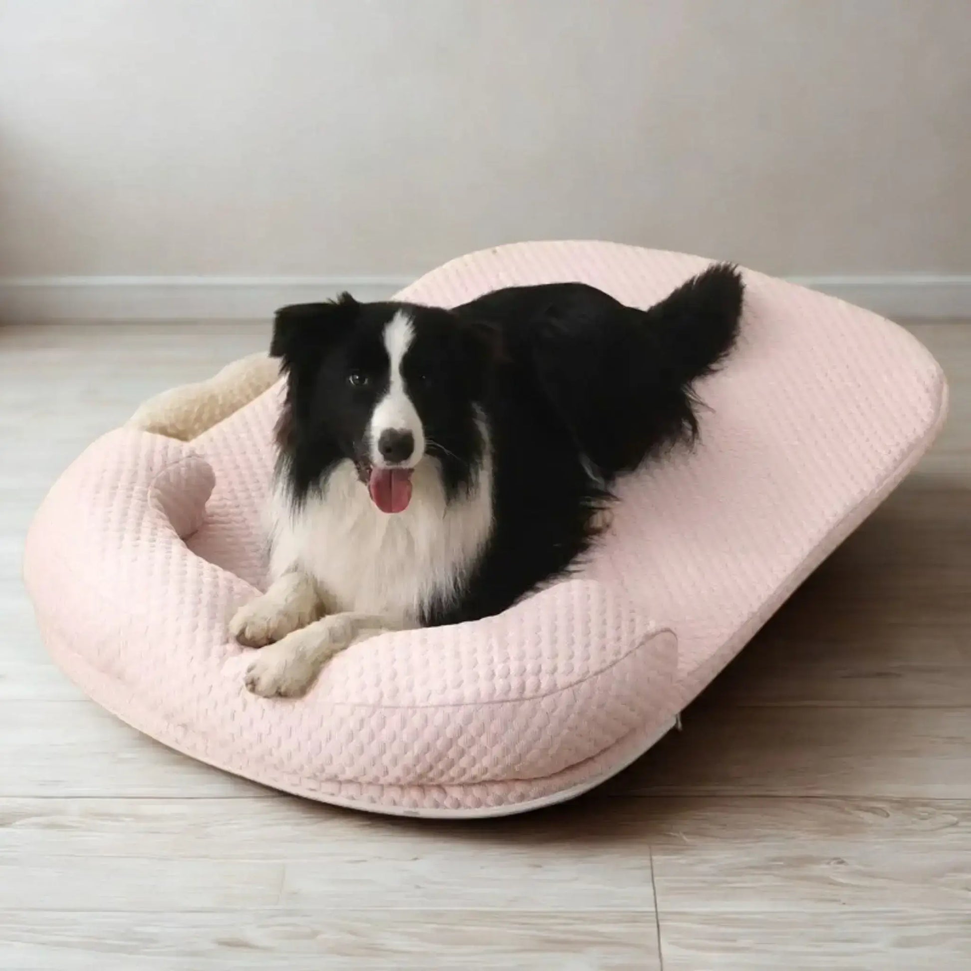 Un border collie allongé sur un tapis rafraichissant pour chien rose.