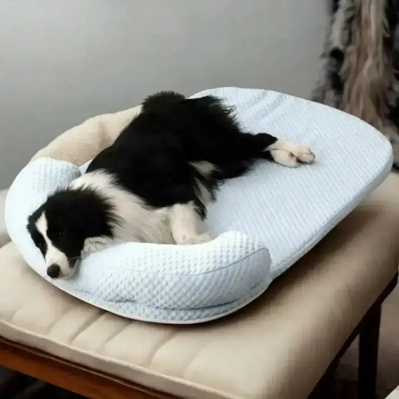 Un border collie allongé sur un tapis rafraichissant pour chien de couleur bleu.