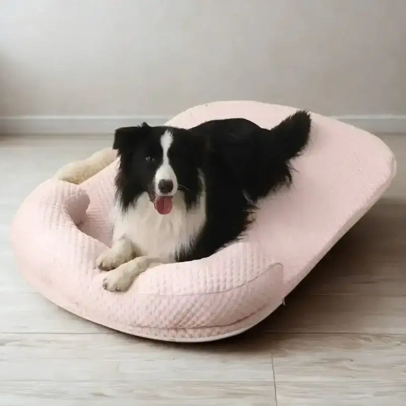 Un border collie allongé sur un tapis rafraichissant pour chien rose.