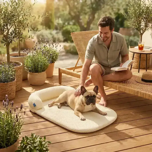 Un homme sur une terrasse caresse son bouledogue français allongé sur un tapis rafraichissant pour chien.