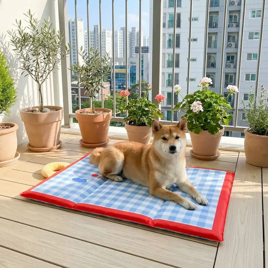 Un shiba inu sur un balcon en ville est allongé sur un tapis rafraichissant pour chiens.