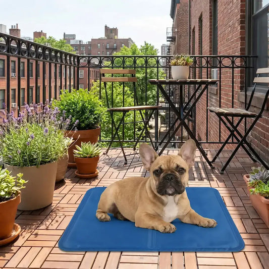 Un bouledogue français sur un balcon en ville est allongé sur son tapis rafraichissant pour chien.