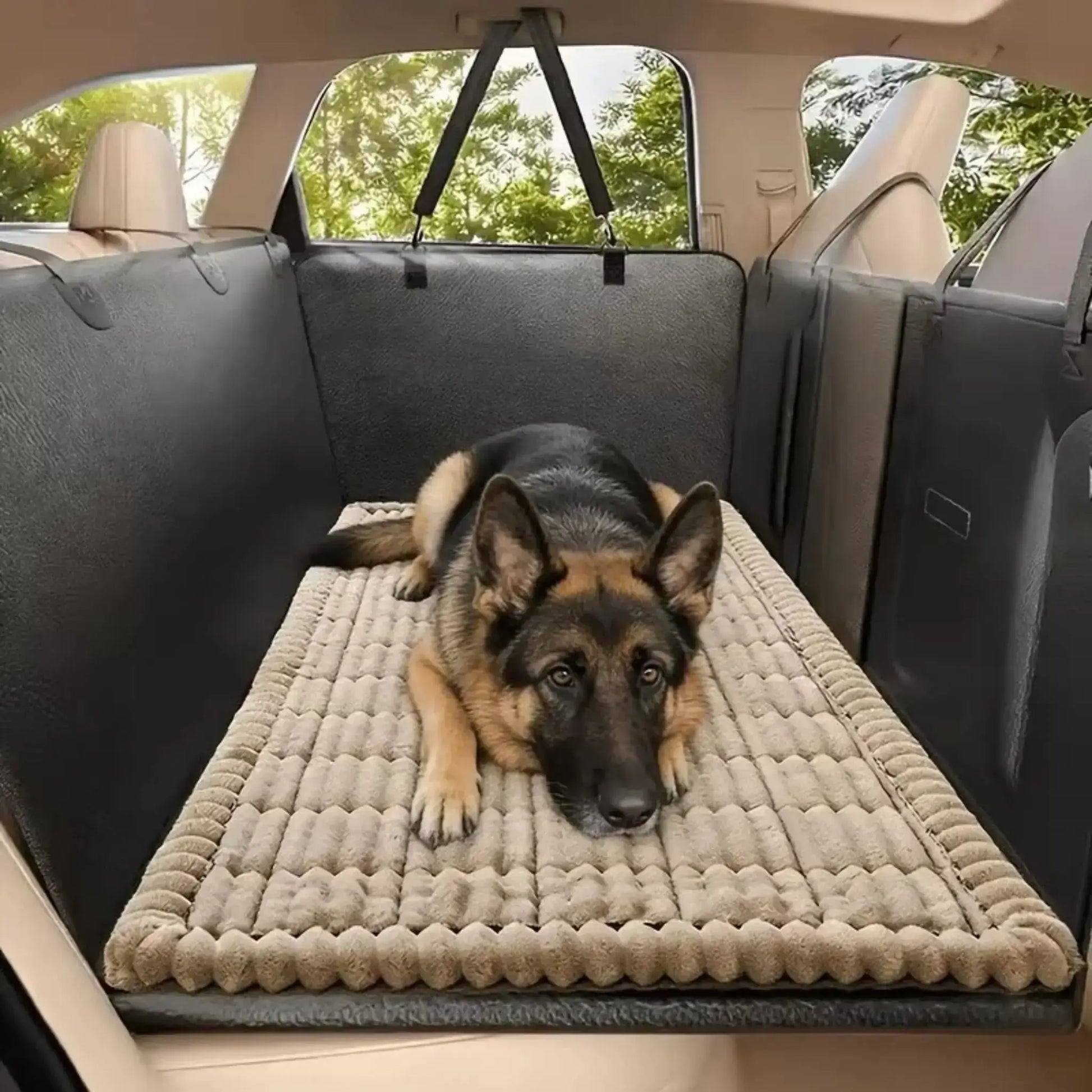 Un berger allemand est allongé sur un tapis de voiture pour chien sur le siège arrière de la voiture.
