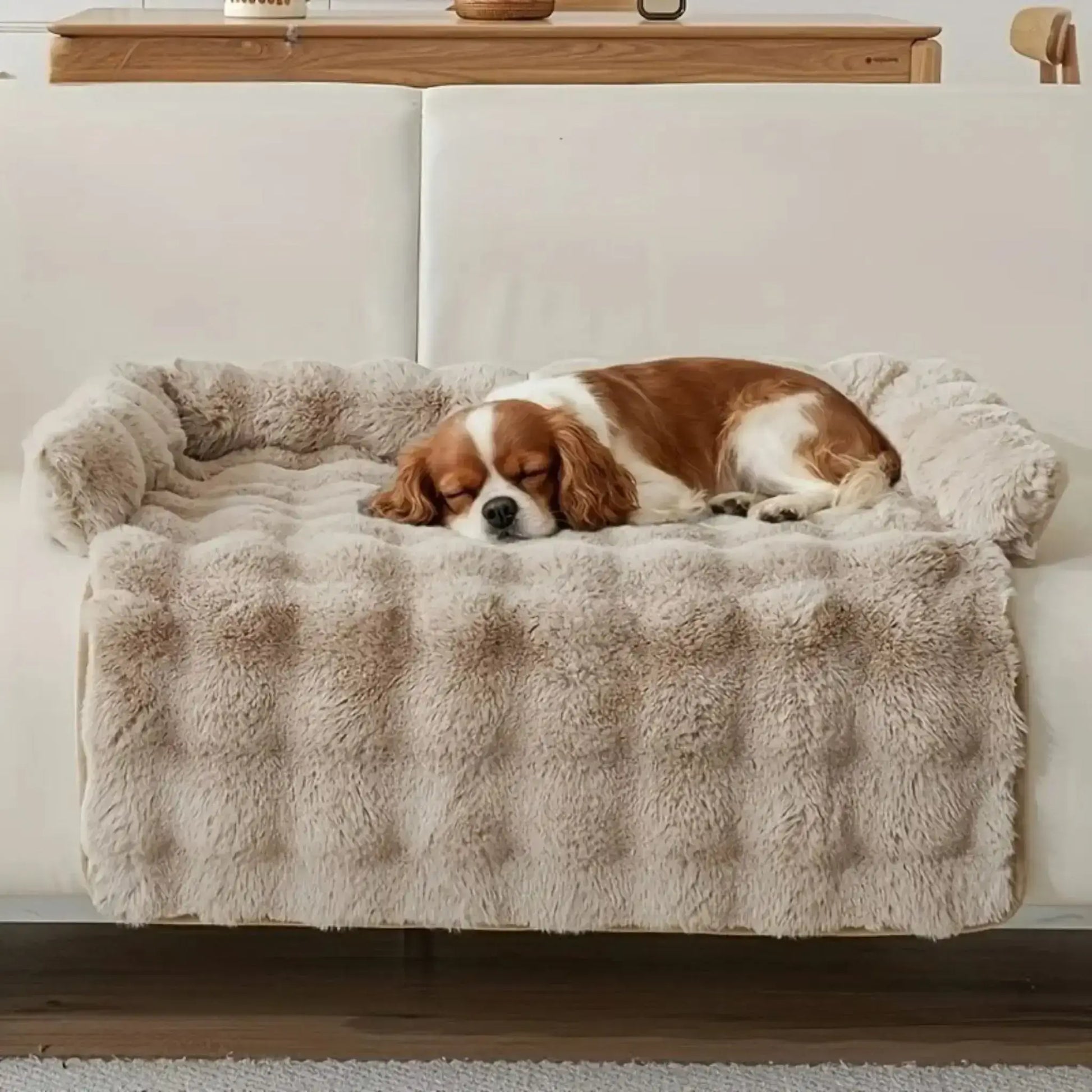 Un cavalier King Charles allongé sur un tapis de voiture pour chien sur un sofa. 