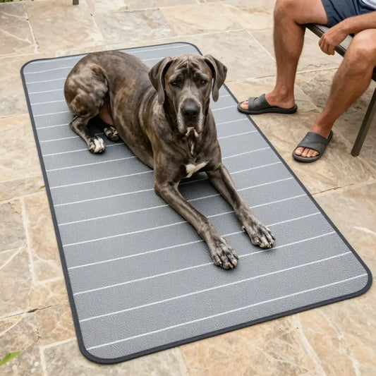 Un grand Danois allongé sur un tapis XXL pour chien avec son maître sur une terrasse.